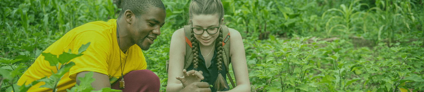 Farmer in field