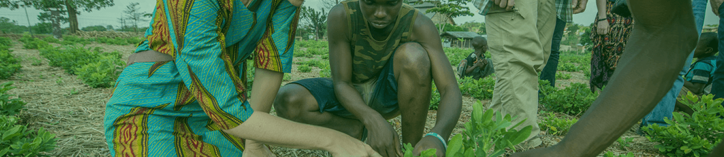 Farmer in field